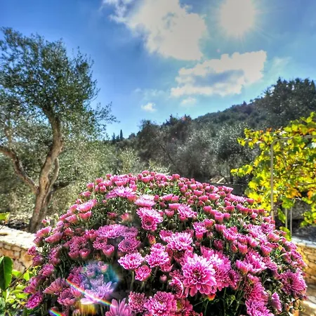 Σπίτι διακοπών Agathi Γάιος